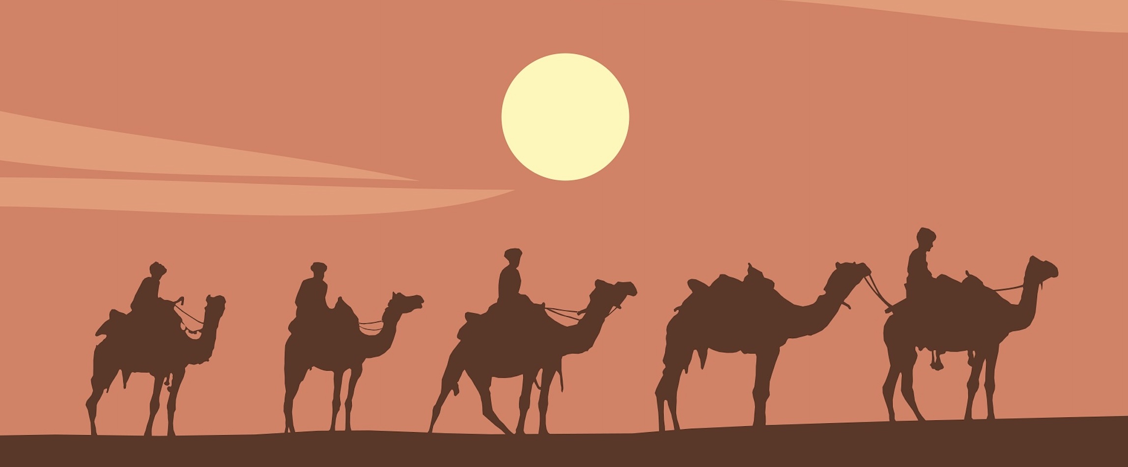 Camels